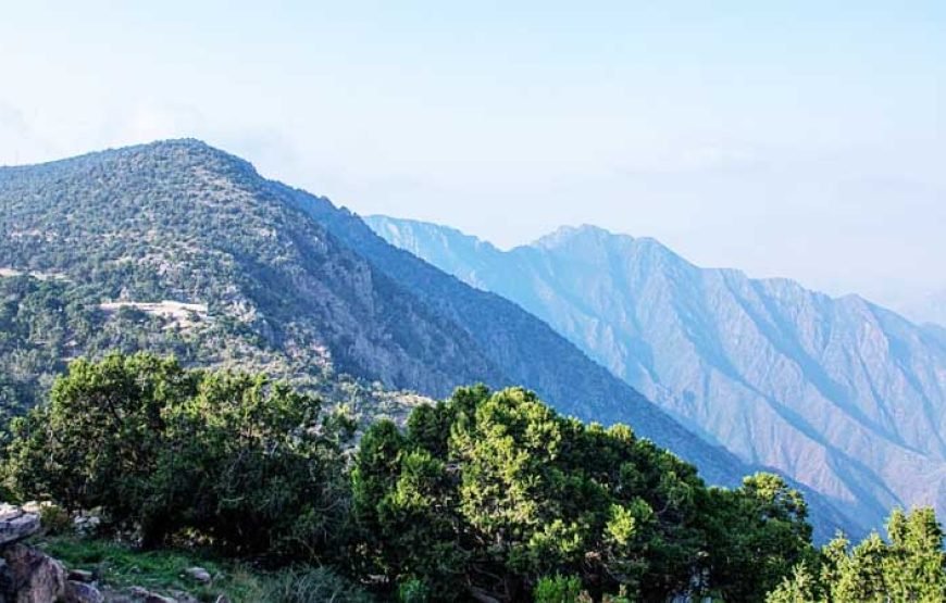 Abha Historical Tour – Jabal Sawda, Shada Castle & Heritage Villages