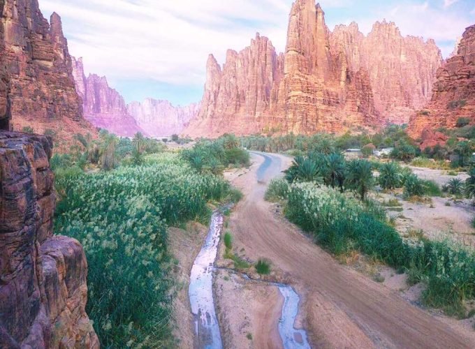 Wadi Al Disah Day Tour from AlUla