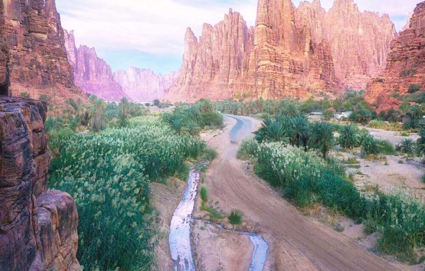 Wadi Al Disah Day Tour from AlUla | Nature & Canyon Adventure in Tabuk