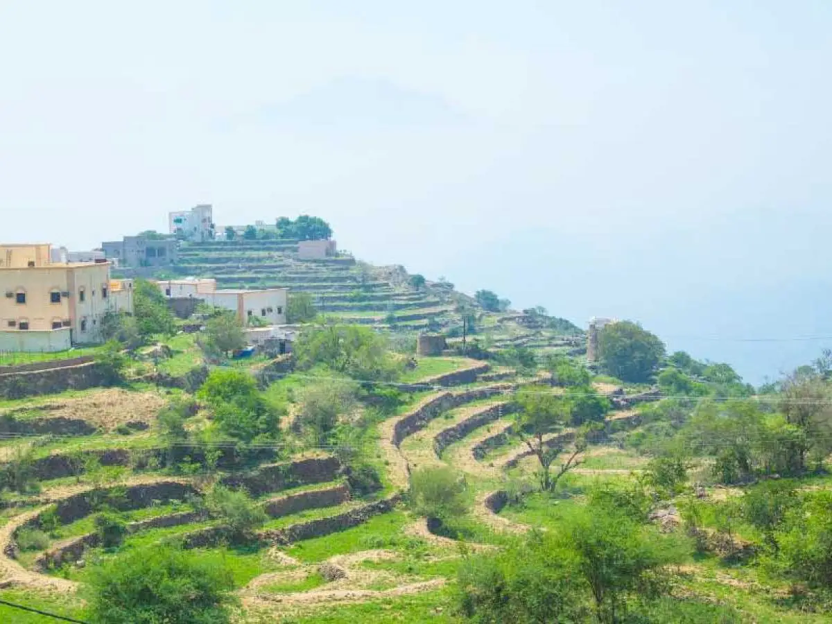 Abha Day Tours